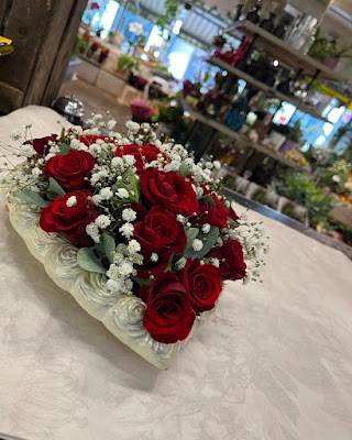 Rotes Rosenherz – Blumen der Holländer