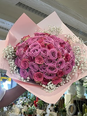 Rosa Rosenstrauß – Blumen der Holländer